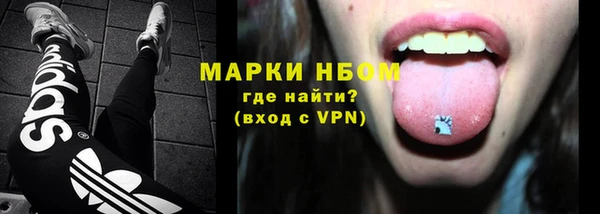 прущие грибы Магадан