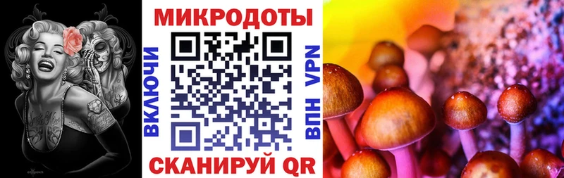 продажа наркотиков  Томилино  Псилоцибиновые грибы Cubensis 